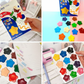 Premium Flower Crayons – 12 Colorful Crayons - Kinder Kreato