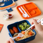 Stylish BPA-Free Lunch Box – 850ml Capacity