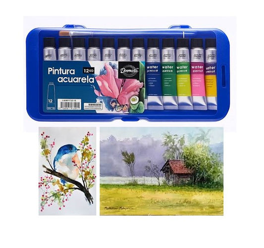 Premium Watercolor Paint Set - 12*12ml