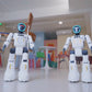 Remote & Gesture Control Smart Robot